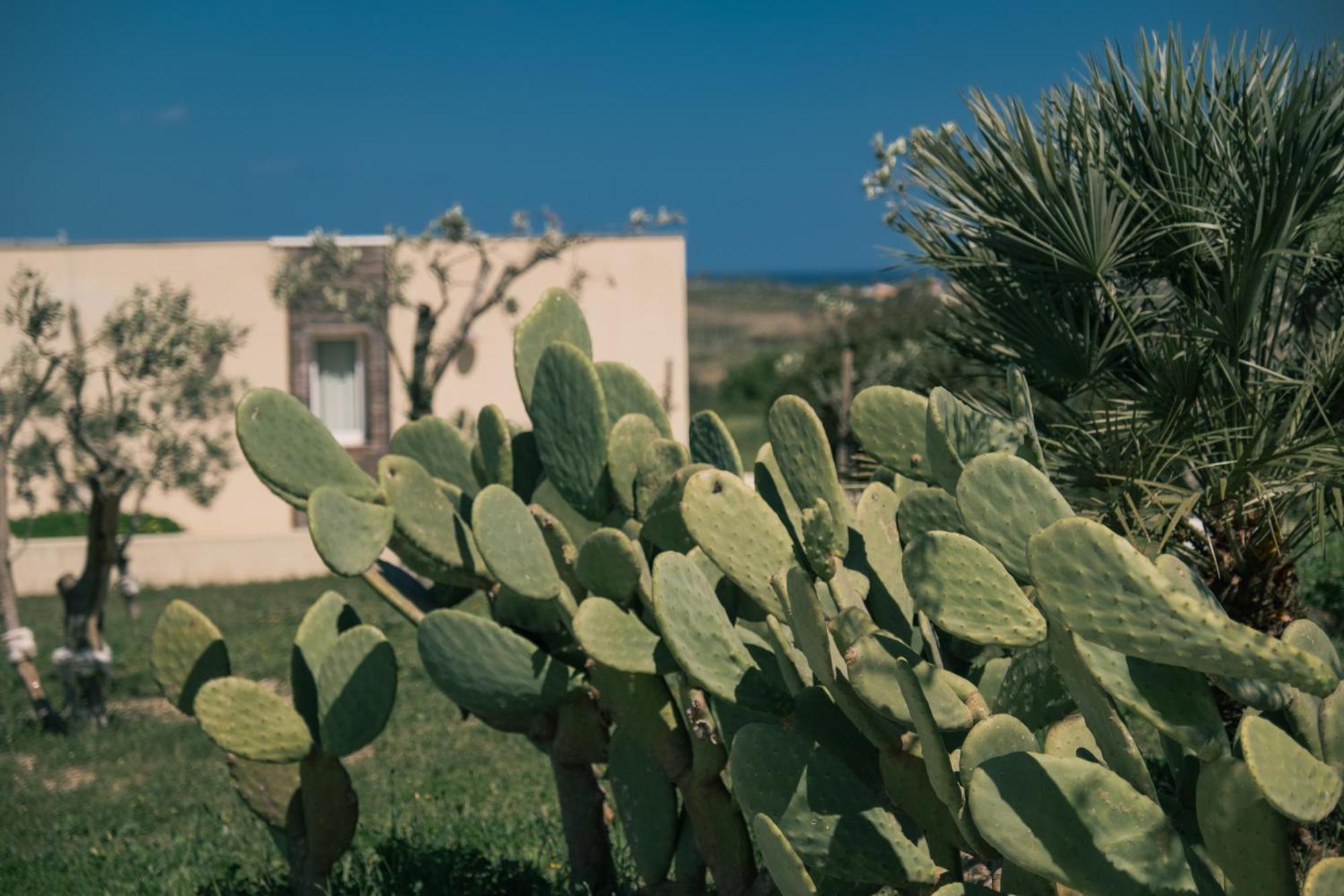 New Exclusive Lodges, Marzamemi, Noto Pachino Zewnętrze zdjęcie